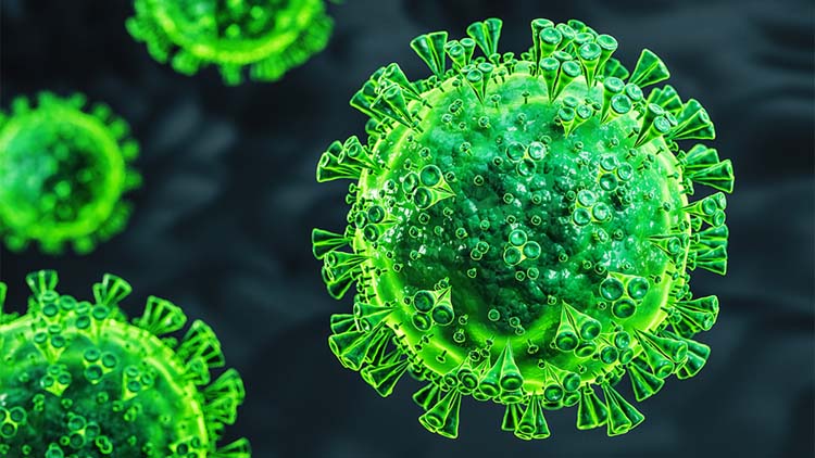 DGHS reported four new COVID-19 cases, no death