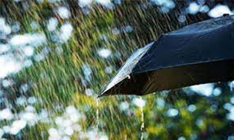 Rain likely 