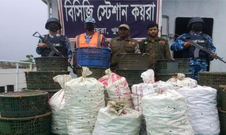 Joint forces seize 700 kgs of crab, trawler in Khulna