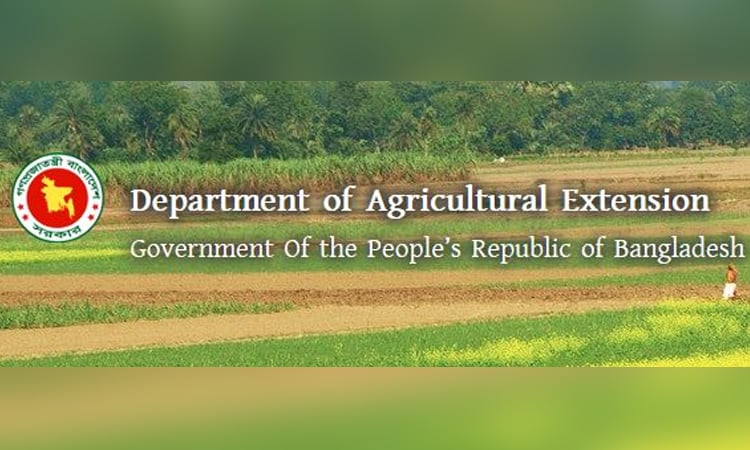 Target fixed to produce 4,28,616 tonnes of rice in Gaibandha