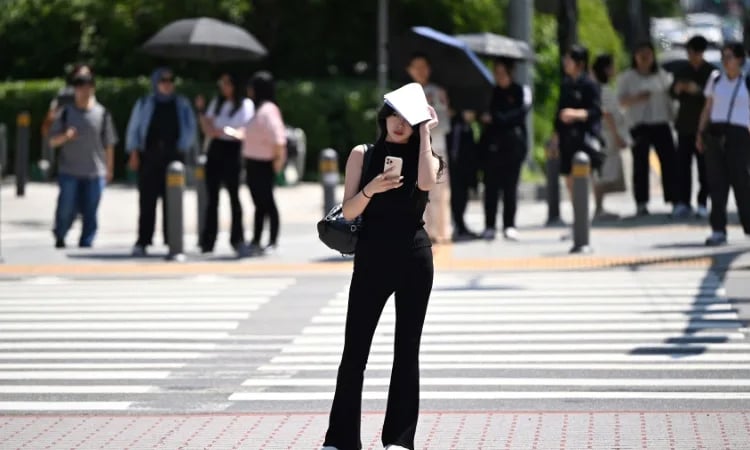 Seoul breaks century-long record with 22 'tropical nights' in July