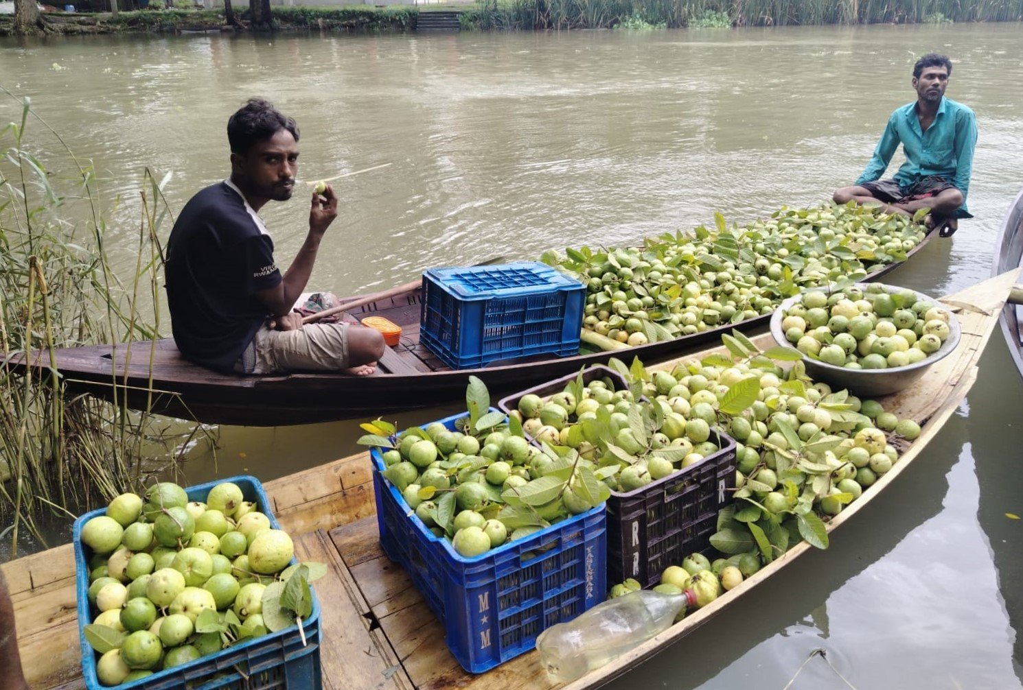 Jhalakathi's floating guava market draws huge crowds including foreign tourists 