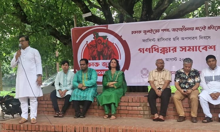 Removing Hasina's portrait during uprising was a bold step: JU VC