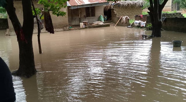Heavy rains kill at least 30 in Guinea since late June