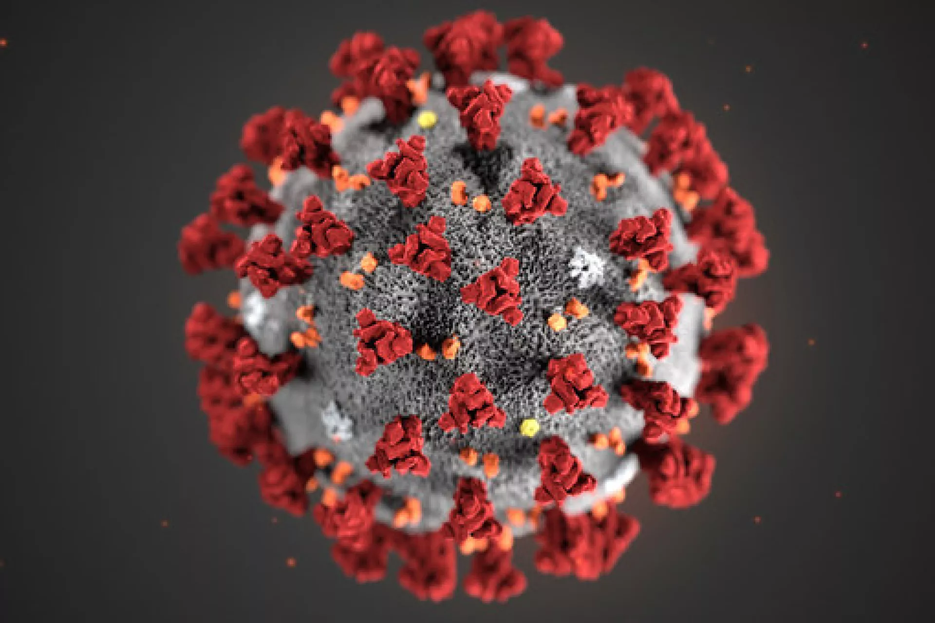 Two new COVID-19 cases reported in 24 hours