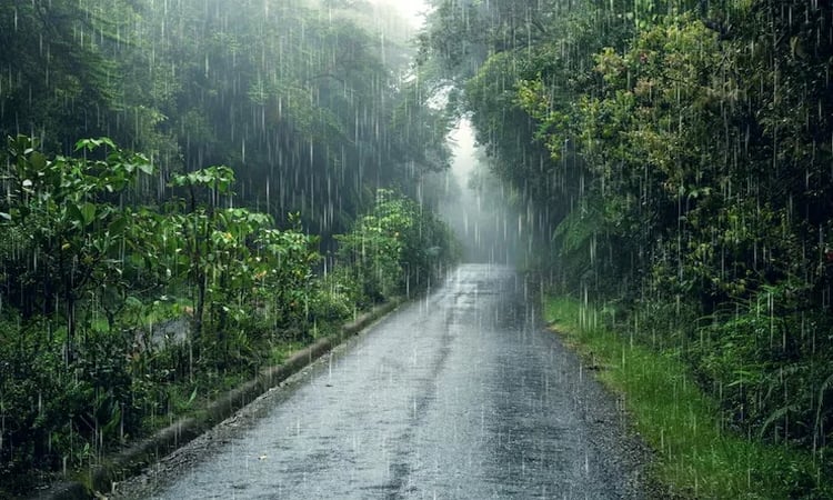 Rain likely across country 