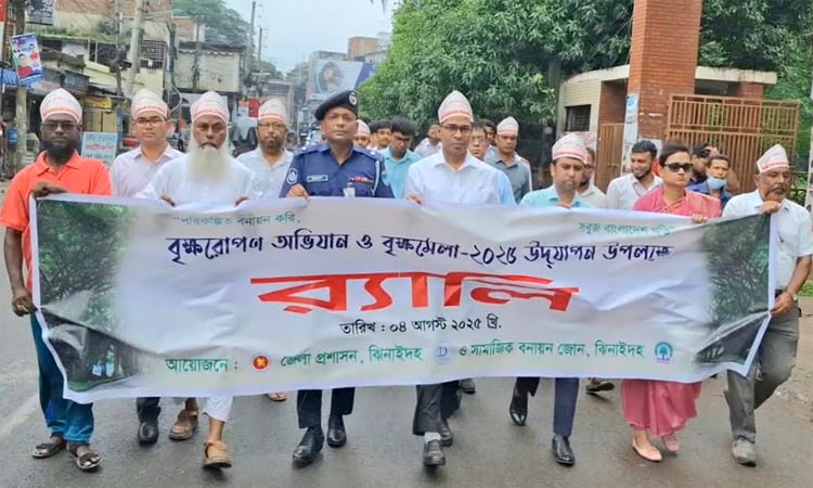 Week-long tree plantation campaign and fair begins in Jhenaidah