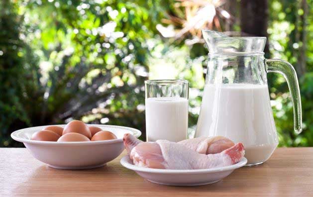 Govt plans to boost milk, meat production