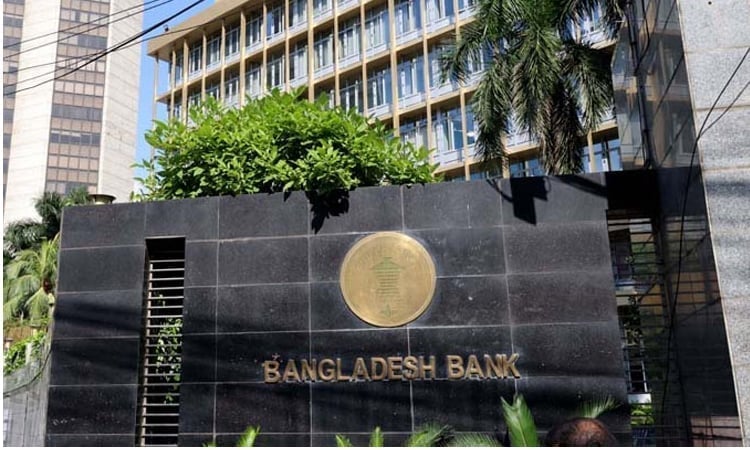 Forex reserves gain stability within a year