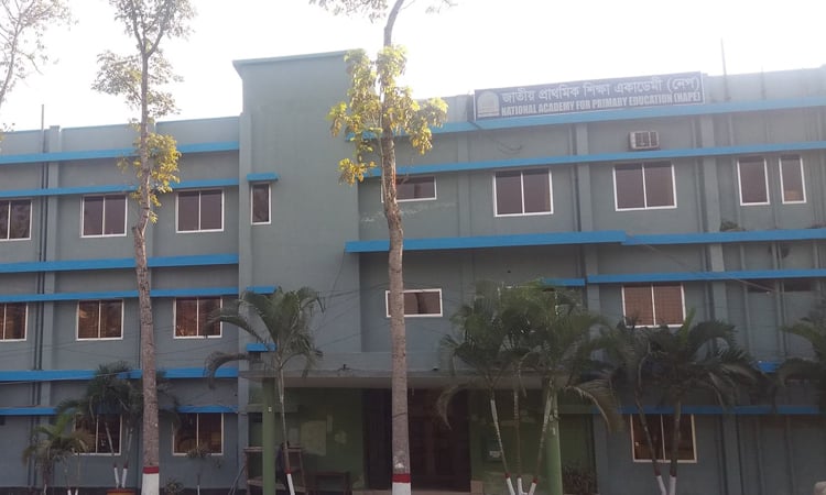 Question pattern, marks for primary scholarship released