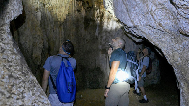 New species teem in Cambodia's threatened karst