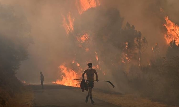 Spain asks for EU help in fighting wildfires: interior ministry