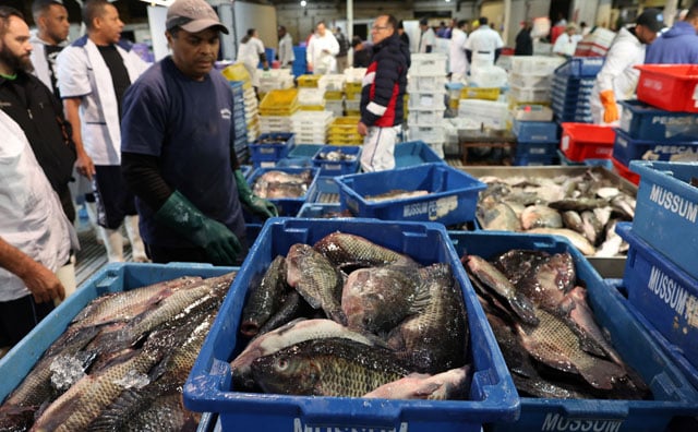 Trump's tariffs drown Brazil's fish industry