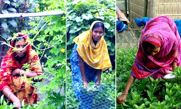 Char people meet nutritional demand thru' homestead farming