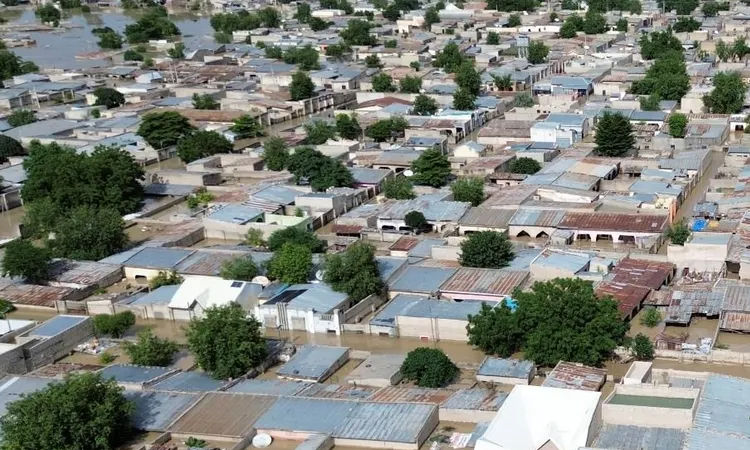 Hundreds of houses damaged in northeast Nigeria flood