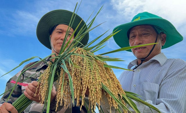Vietnamese rice grower helps tackle Cuba's food shortage