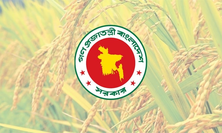 Govt's Boro collection hits historic high