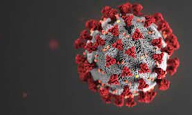 No new COVID-19 cases reported in 24 hours