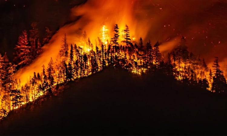 Threat from massive western Canada wildfire eases
