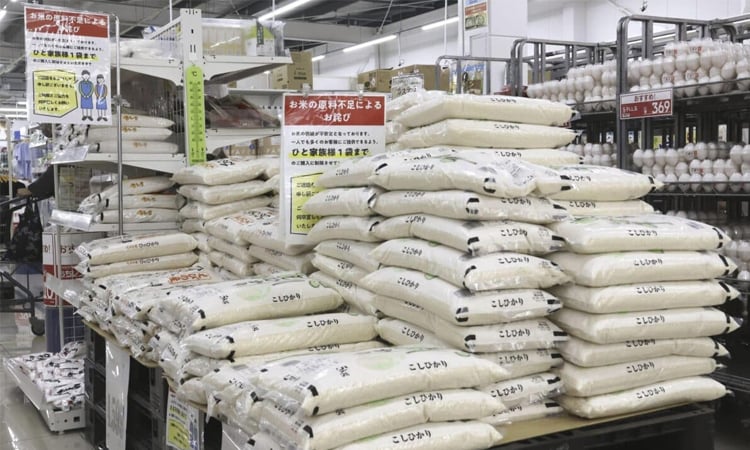 Rice prices up 91 pct year-on-year in Japan