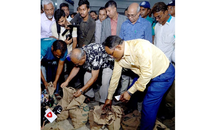 Govt to procure potatoes to support farmers: Agriculture Adviser