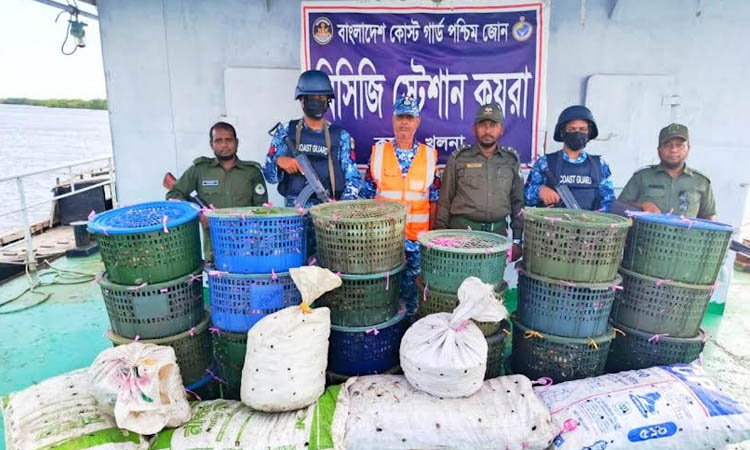 Coast Guard seizes 850 kg crab in Sundarbans | District