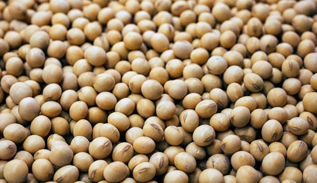 Brazil court restores Amazon-protecting soy moratorium