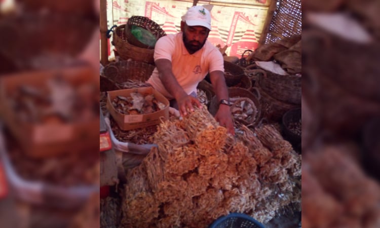 Bagherhat's dried fish tops the country; Govt revenue hits TK 6cr | District