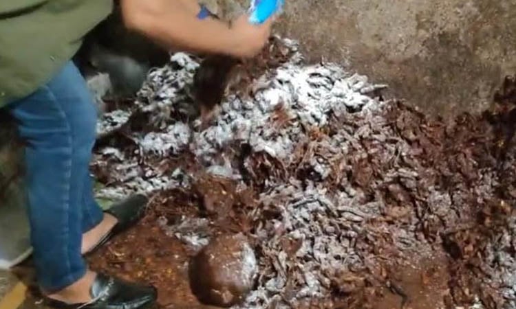 Two pickle factories fined for unhygienic production in Ctg