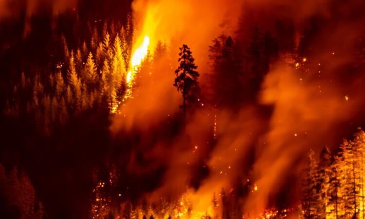 Climate-driven wildfires reversing pollution progress in N. America: study
