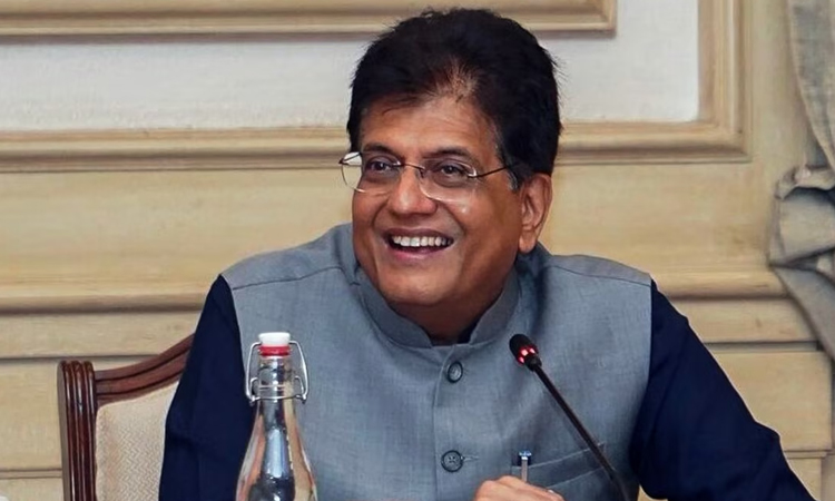 India will not 'bow down'; trade minister says after US tariffs