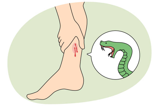 Schoolboy dies from snakebite in Shailkupa 