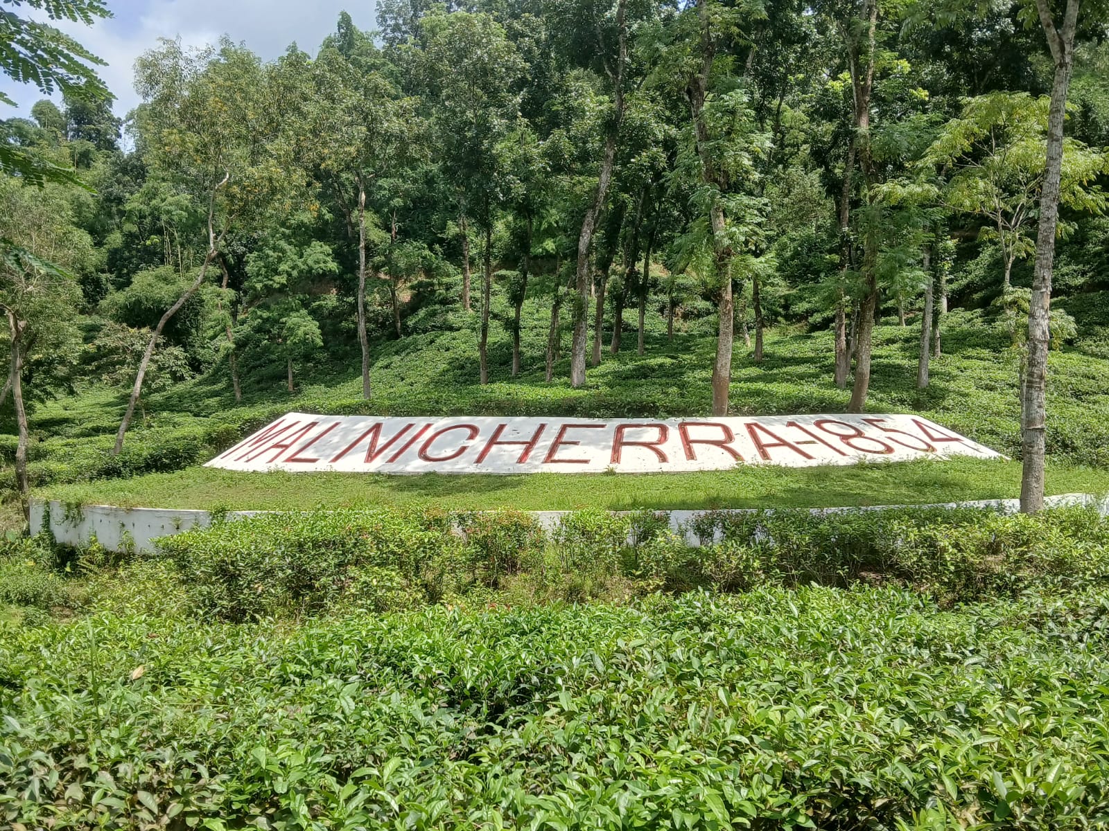 Malnicherra tea garden emerging as a key tourism destination