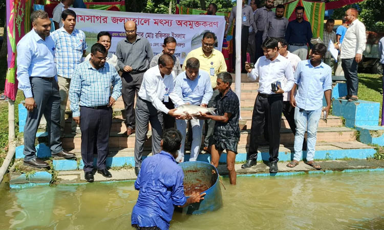 130 maunds of fish released in Dinajpur's historic Ramsagar