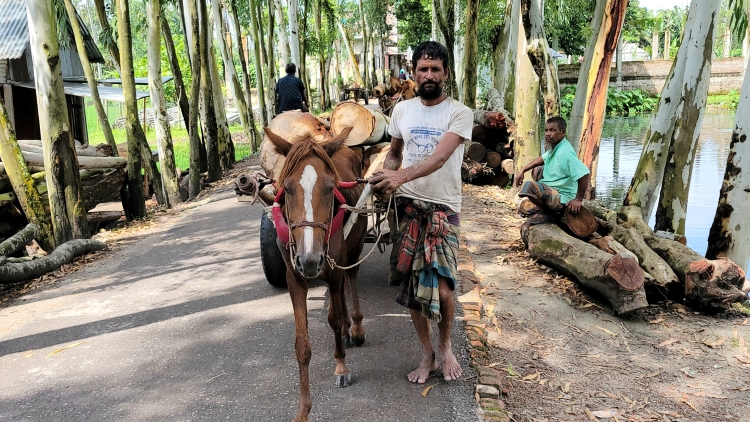 Horse-drawn carts still lifeline of char economy
