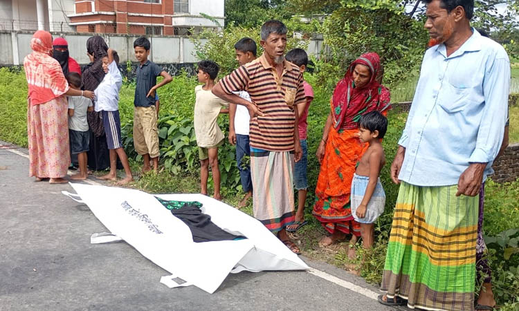 Woman killed in Netrakona road crash