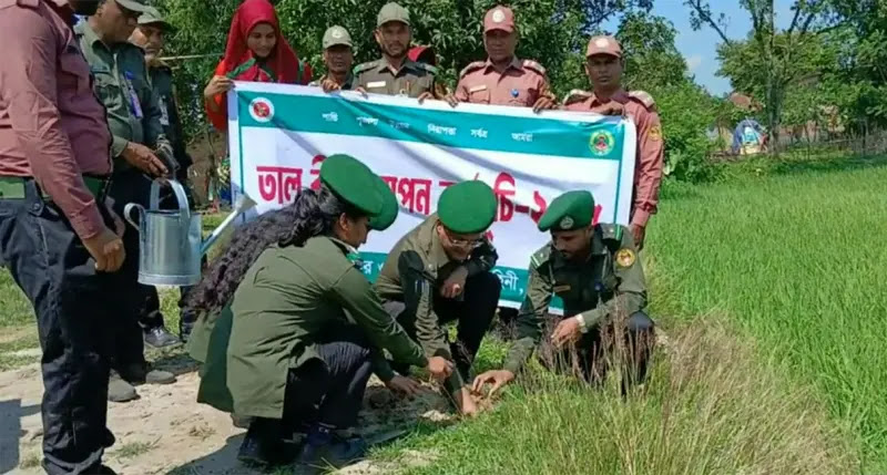 3,000 palm trees to be planted in Dinajpur