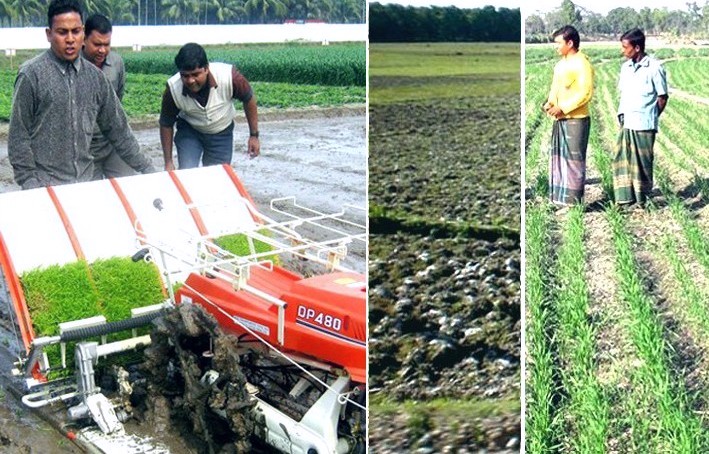 Innovation, farming of stress-tolerant crops can ensure food security: Experts 