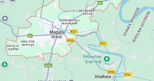 Former UP member killed in Magura road accident | District