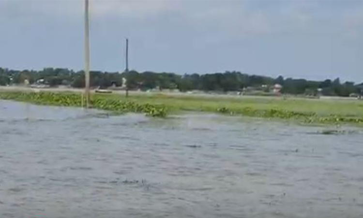 Kishoreganj haors: indigenous freshwater fish on the verge of extinction | Agriculture News