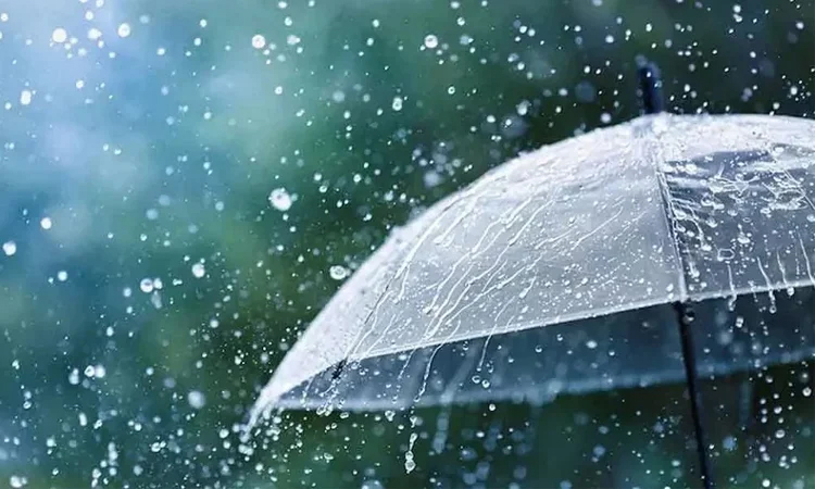 Light to moderate rain, thundershowers likely in parts of country