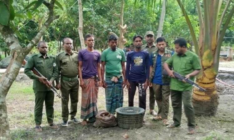 3 fishermen held for fishing illegally in Sundarbans | District
