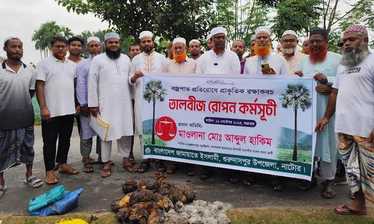 Palm seed plantation programme held in Natore 