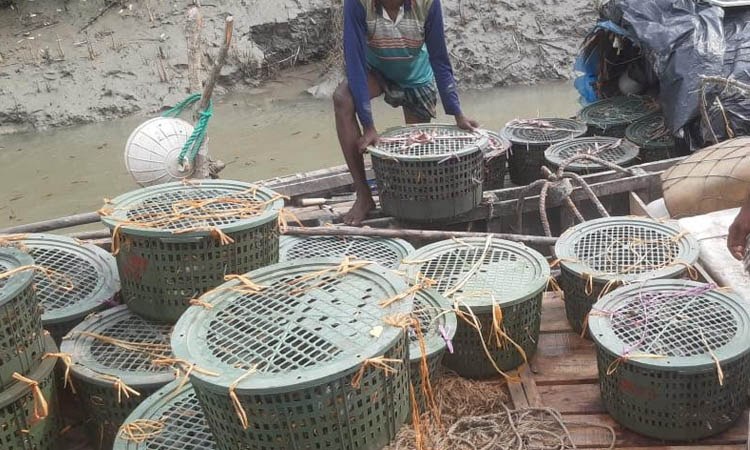 17 poachers held with venison, crabs in Sundarbans
