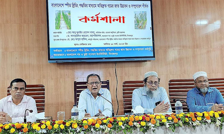 Workshop on wheat variety development, expansion in Dinajpur