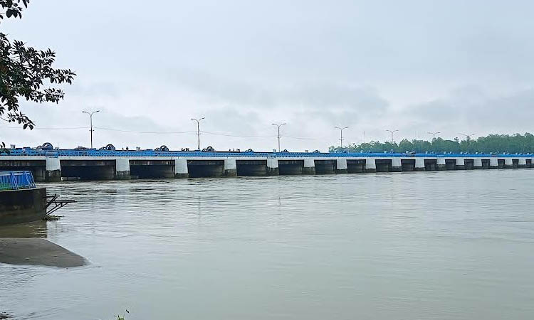 Teesta is flowing nears danger level in Nilphamari