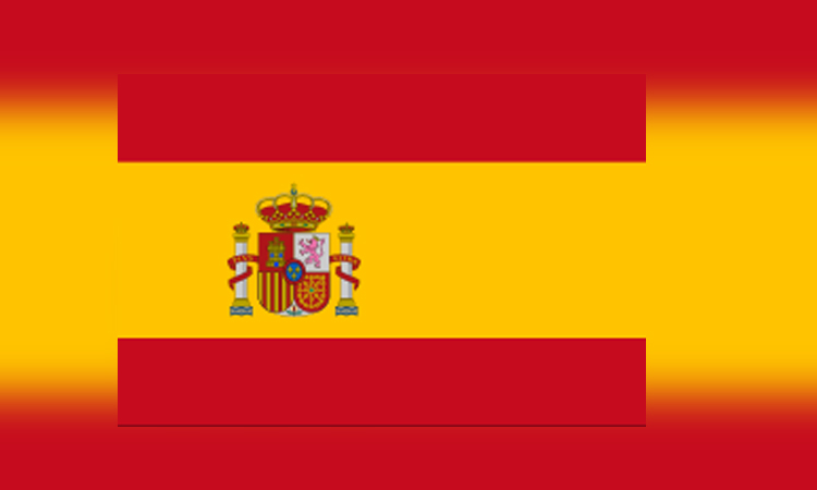 Spain summons Israeli diplomat to protest FM's 'liar' comments