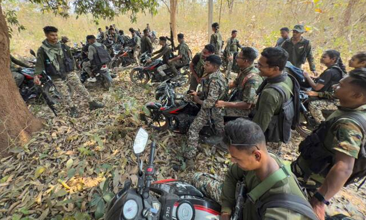 India's Maoist rebels announce halt in fighting