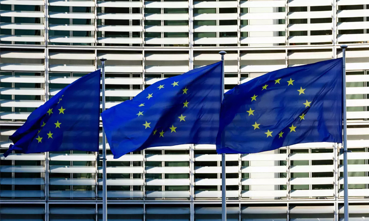 EU seeks 'face-saving' deal on UN climate target