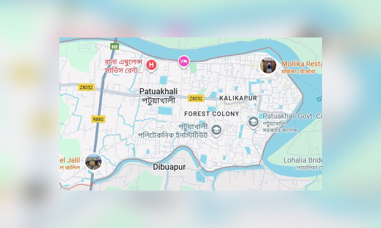Native fish species on verge of extinction in Patuakhali